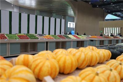 青岛农业“国际客厅”开门纳客 打造苗木产业新高地，预计年产值可达120亿元