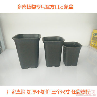 豫超多肉黑方万象盆 高质磨砂黑盆为根球类植物量身定制